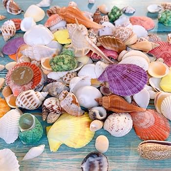 【新品・未使用】ハンドメイド海外製 カラフルな魚と貝殻の皿 新品・未使用】ハンドメイド海外製 カラフルな魚と貝殻の皿